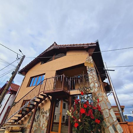 Pensiunea Salas Salasu de Sus 외부 사진